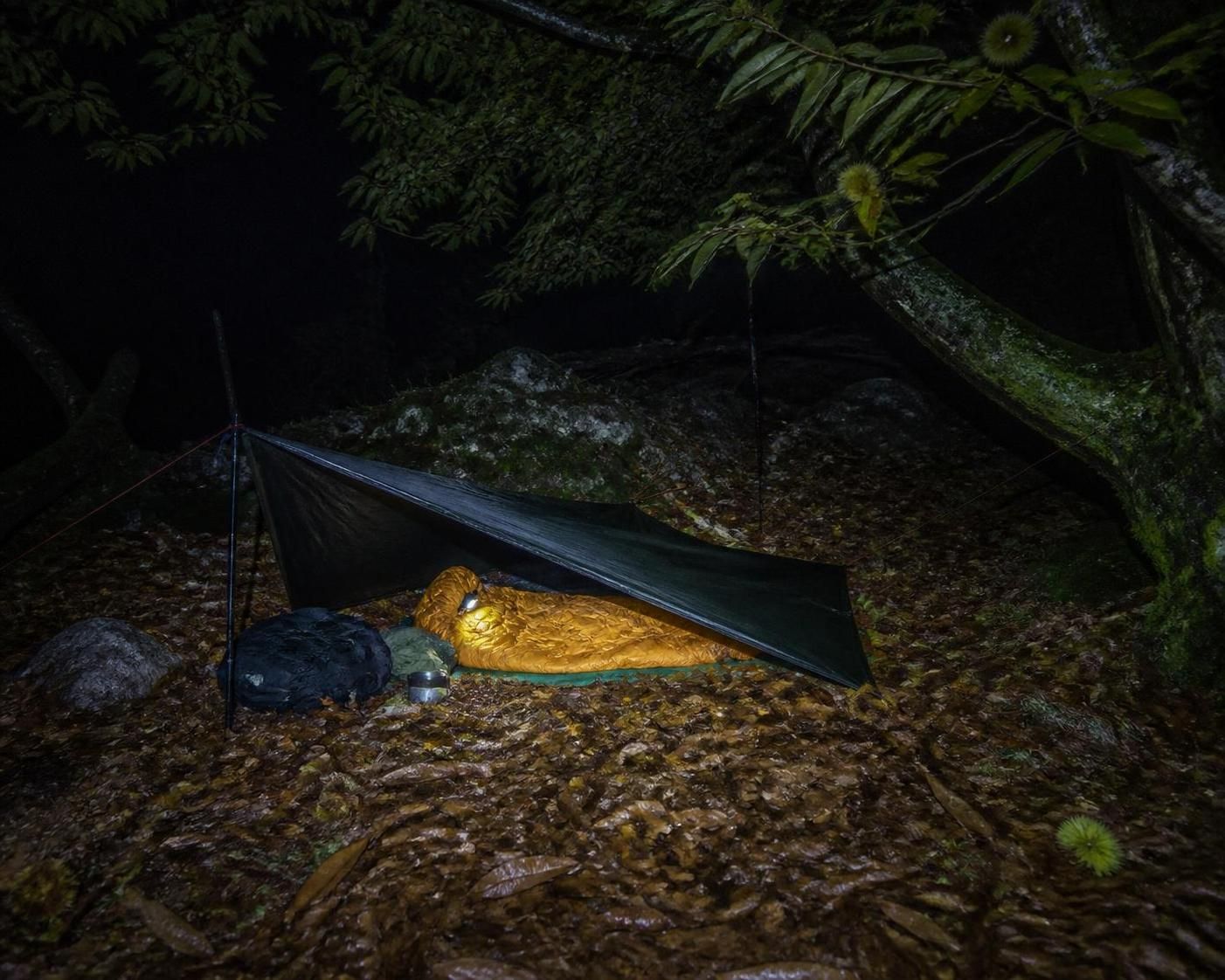 découvrez pourquoi mon tarp en a a échoué lors d'un bivouac sous châtaigniers dans les cévennes, et apprenez quel montage a tenu face aux éléments pour réussir votre camping sauvage.