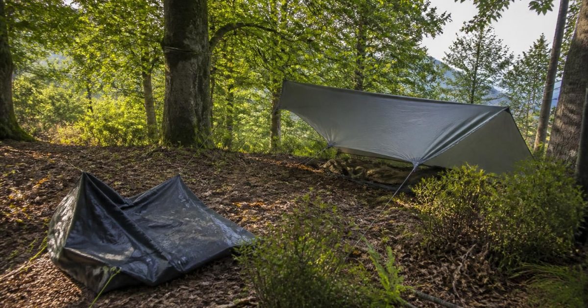 Cévennes en bivouac sous châtaigniers : pourquoi mon tarp en A a échoué (et le montage qui a tenu)