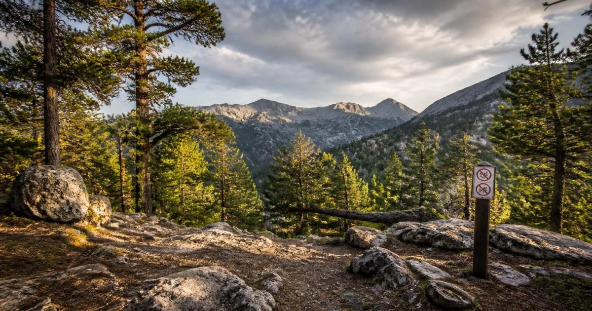 Mercantour : pourquoi mon spot validé par 3 forums était illégal — le détail du décret 2019