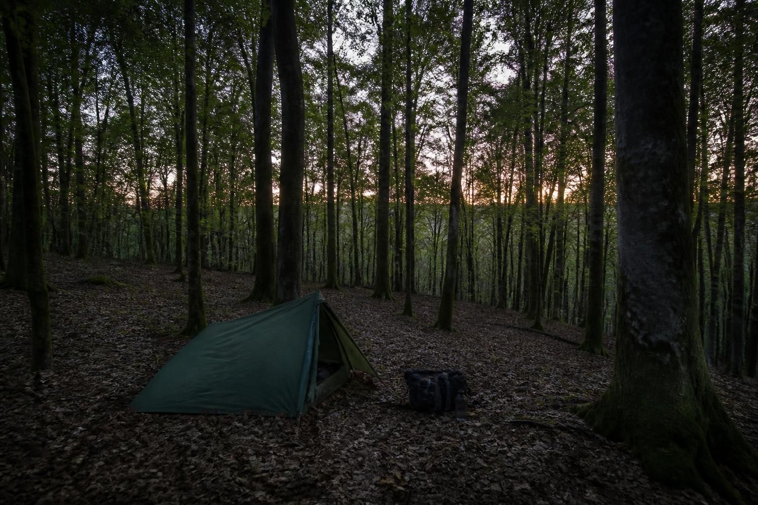 découvrez quelles forêts domaniales de l'onf autorisent le bivouac d'une nuit après avoir contacté 8 unités territoriales. voici les 3 forêts où vous pouvez camper en toute légalité.