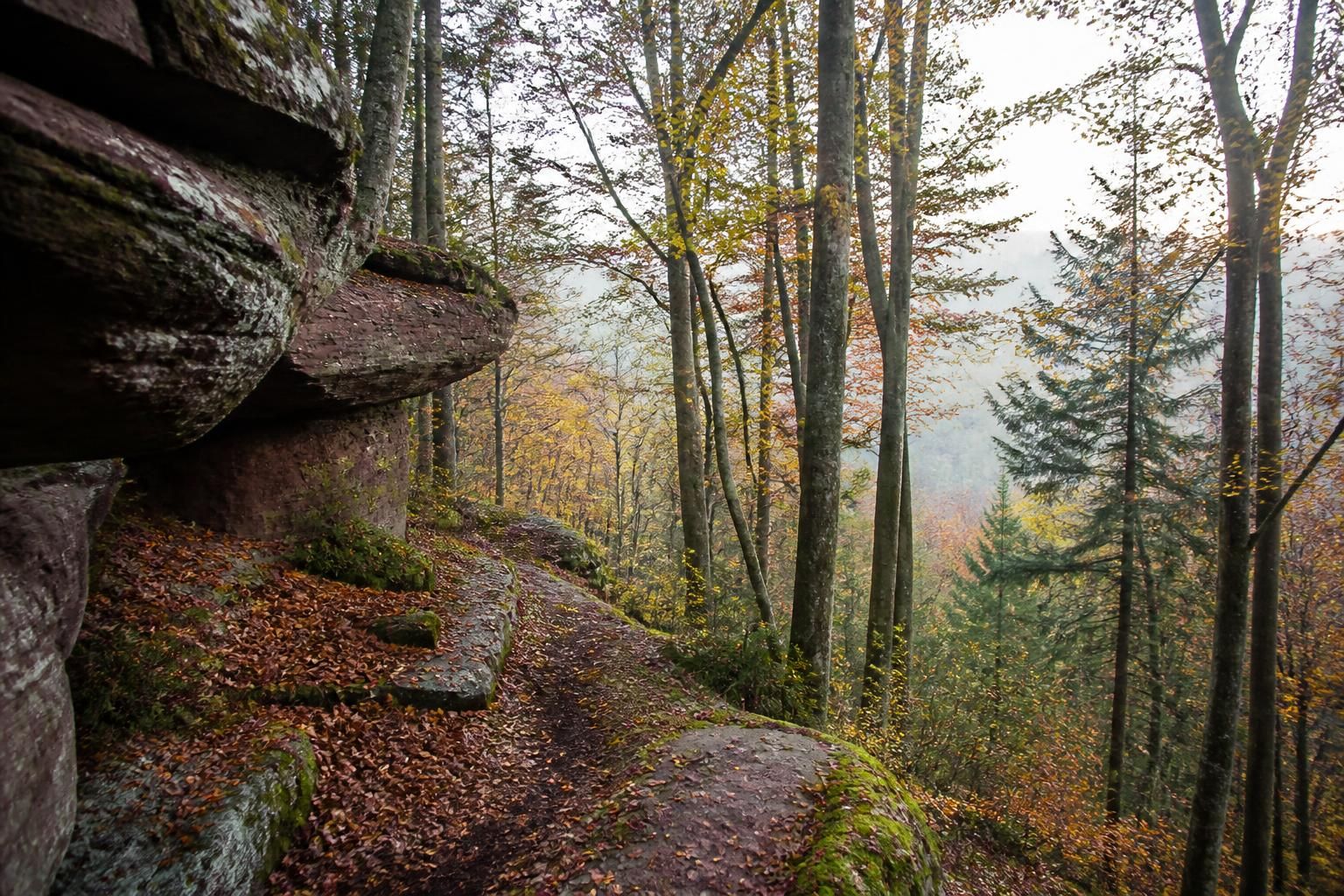 découvrez les vosges du nord oubliées lors d'une aventure unique : 3 nuits sur le sentier des roches, loin de la foule et sans croiser un autre randonneur.
