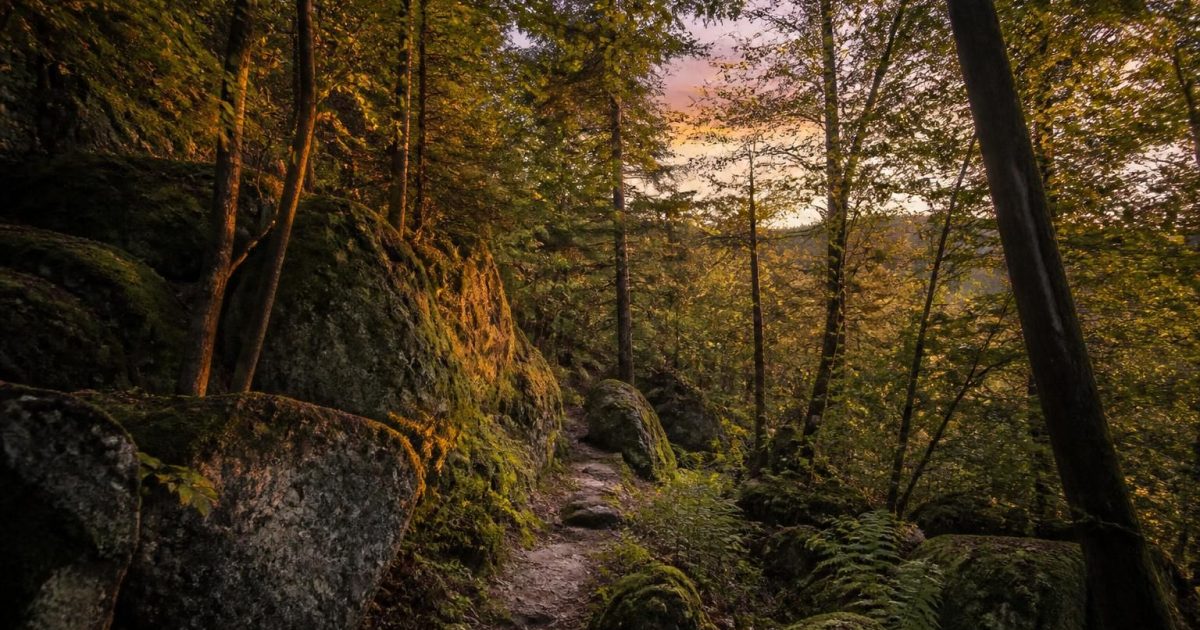 Vosges du nord oubliées : 3 nuits sur le sentier des roches sans croiser un randonneur